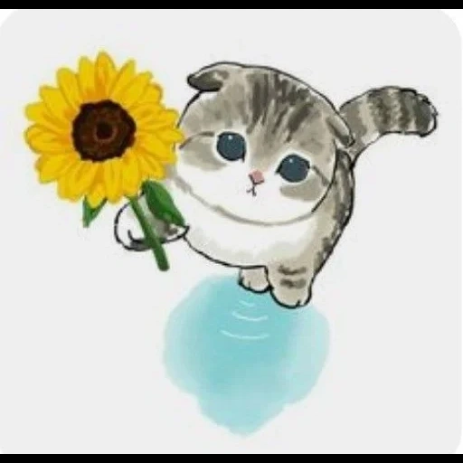 ciao kitten, seal diagram, lovely seal picture, a charming kitten, cute animal patterns
