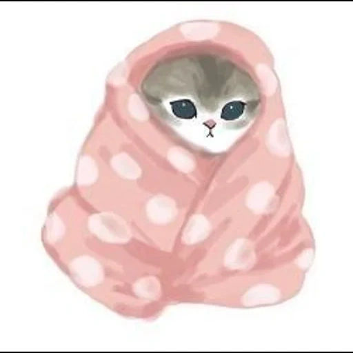pussy cute, schöne seehunde, süße katze anime, katze niedliche muster, schöne bilder von robben