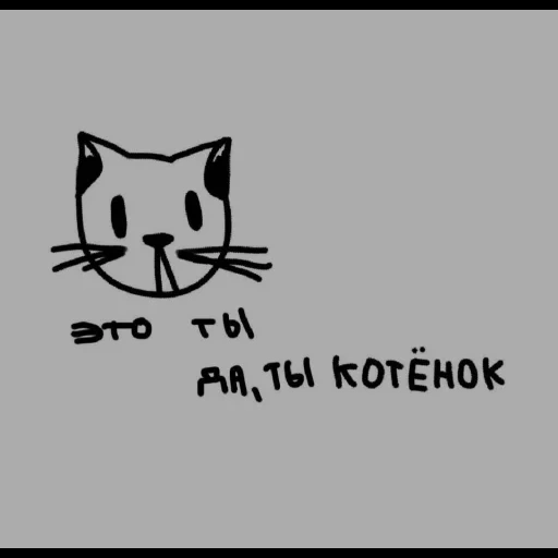 рисунки котиков, голова кота эмблема, ты котик, милый кот, коты рисунки для срисовки легкие