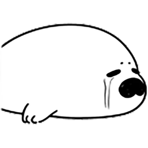 le foche, sketch di seal, animali di foca, modello animale carino