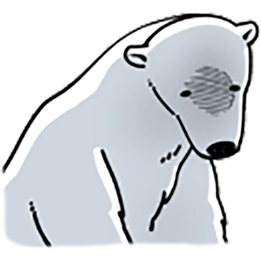 eisbär, der bär ist weiß, eisbär, weißer bären clipart, weißbären zeichnung