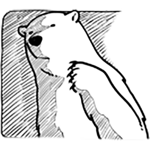 imagen, oso polar, oso polar, silueta de oso blanco, ilustración de oso blanco