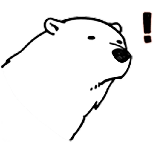 bear, bear, ourson blanc, contour de l'ours polaire, we bare bears ice bear