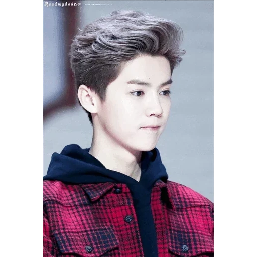 luhan, dio exo, exo luhan, luhan exo, exo baekhyun