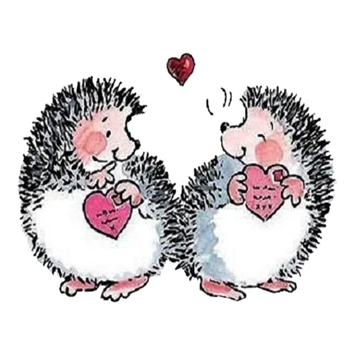 corazón de erizo, hedgehog besándose, hedgehog enamorado, hedgehog en el amor