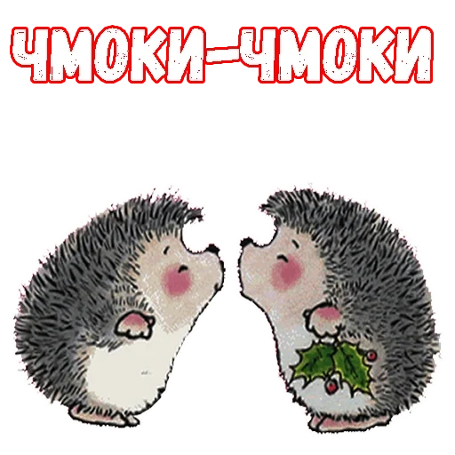 hedgehog, the hedgehogs are cute, hedgehog in love, the hedgehog gives flowers, hedgehogs in love