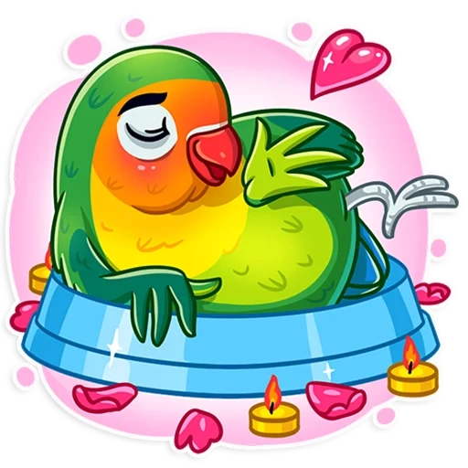 birds, bird, watsap birds, ptichkidda watsap, belly in love