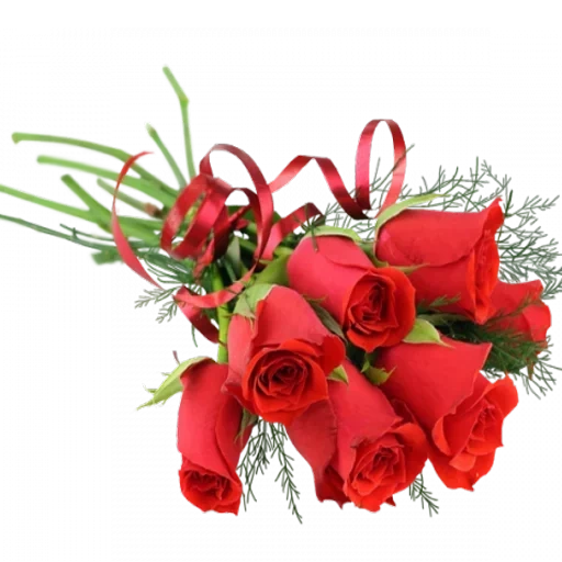 букет 7 роз, букеты цветов, букет красный, цветочки букет, красные розы букет