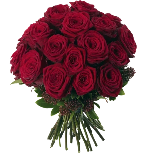 букет роз, розы букет, роза ред наоми, букет красных роз, розы бордовые букет
