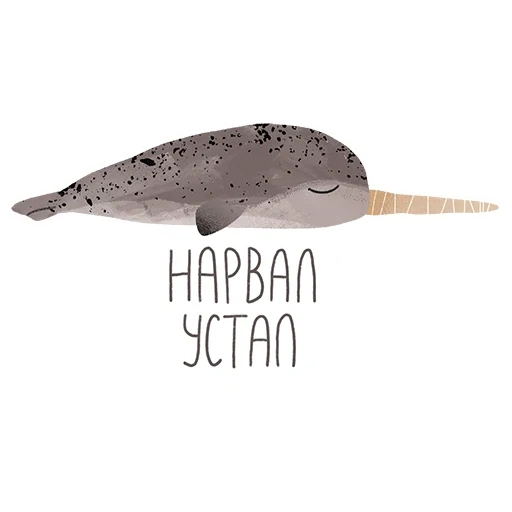 gato, narwhal, embalou um fundo branco