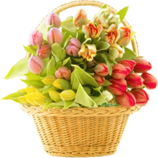 цветы корзина, bouquet flowers, тюльпаны корзина, корзинка тюльпанами, открытка букет тюльпанов