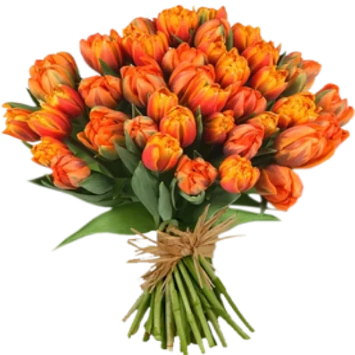 букет тюльпанов, пионовидные тюльпаны, букет пионовидных тюльпанов, тюльпан пионовидный оранжевый