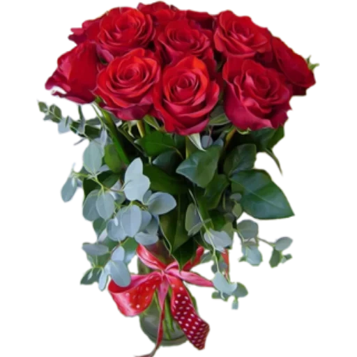 роза, букетик роз, красная роза, цветы букет роз, букеты цветов красивые