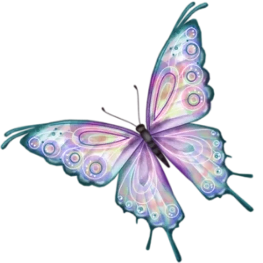 бабочка монарх, бабочка бабочка, бабочка прозрачная, бабочка фиолетовая