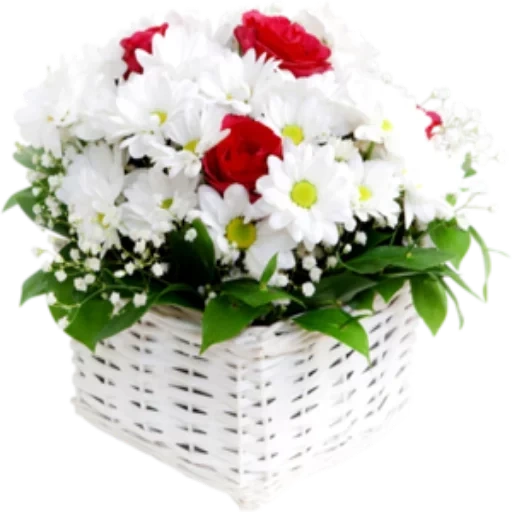 корзинка цветов, цветы ромашки букет, букет цветов ромашек, красивые букеты цветов, корзина хризантемами розами