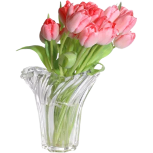 ваза тюльпан, тюльпаны вазе, букет розовых тюльпанов, тюльпаны прозрачном фоне, прозрачная ваза тюльпанами