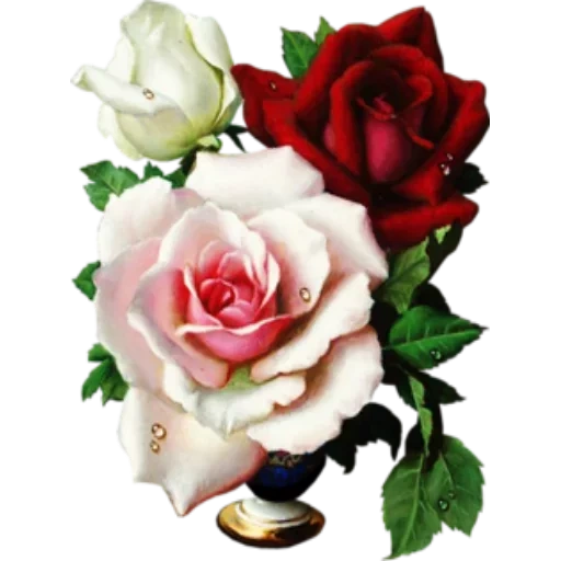 картина розы, живопись розы, красивые розы, винтажные розы, цветы красивые розы