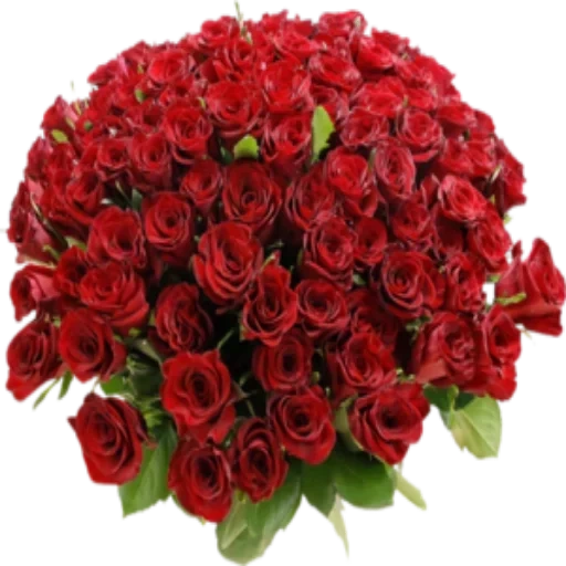 букетик роз, букет алых роз, прекрасный букет, букет красных роз, открытка букет цветов