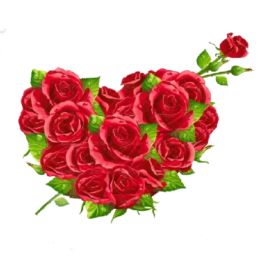 сердце роз, розы сердце, красные розы сердце, топ валентинки розами, открытки днем матери красные розы
