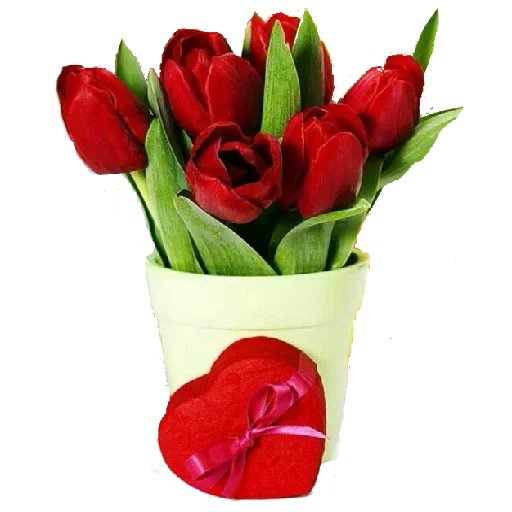 букет тюльпанов, красные тюльпаны, с поздравлением 8 марта, тюльпаны коробке открытка, 8 марта короткие поздравления