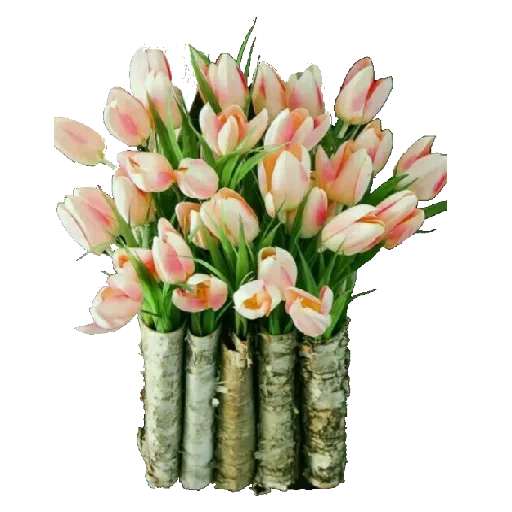 букет тюльпанов, цветы тюльпаны букет, букет тюльпанов вазе, тюльпаны кустовые розы букет, луковичные тюльпаны упаковка
