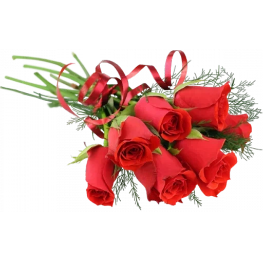 букет 7 роз, букет красный, красивый букет, букет красных роз, букет красных цветов