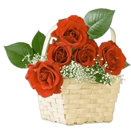 букет красных роз, розы цветы букеты, красивый букет роз, красные розы корзине, открытки красивые розы