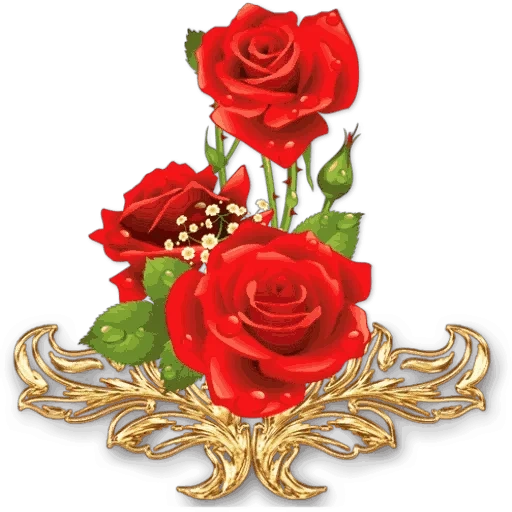 цветами надписями, цветы красные розы, цветы красивые розы, открытки цветы розы, на прозрачном фоне цветы