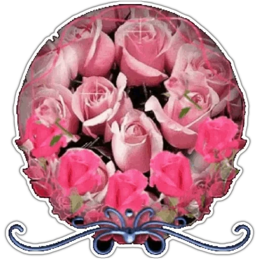 цветы розы, розовые розы, букет цветов, букет цветов розы, цветы розовые розы