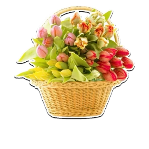 цветы корзина, цветы корзинке, букет корзинке, тюльпаны корзина, корзинка тюльпанами