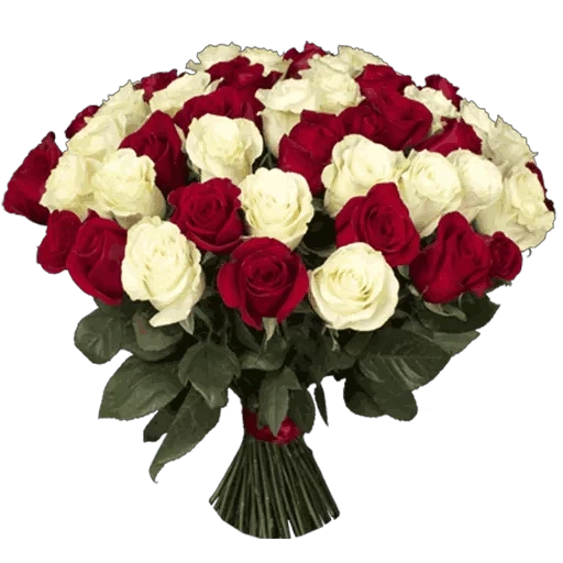 букет роз, букет красных роз, красно белый букет, букет красных белых роз, 101 роза красно белый букет