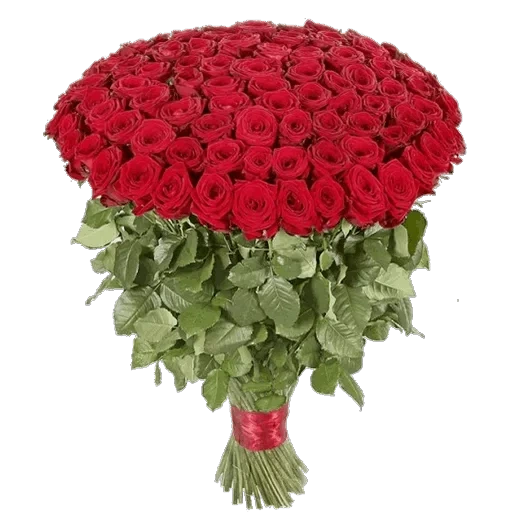 101 роза, букет 101 розы, ред наоми 60 см, 101 красная роза, 101 красная роза ред наоми