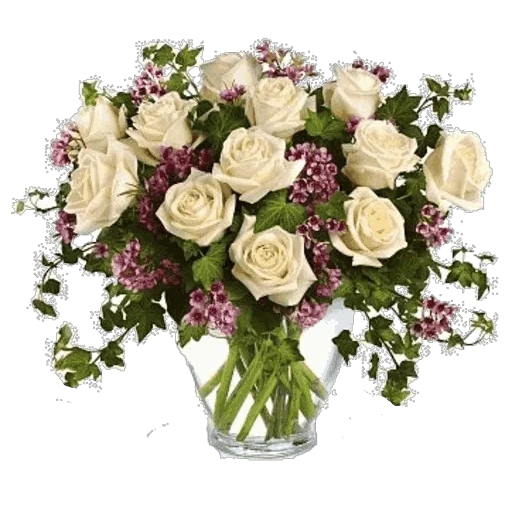 букет, букет роз, букет красивый, букет кремовых роз, красивые цветы букетах белом фоне