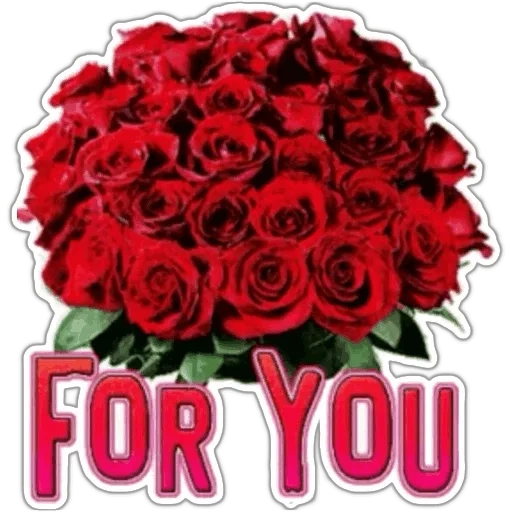 букет роз, букет цветов, букет роз тебя, red rose bouquet, букет красных роз