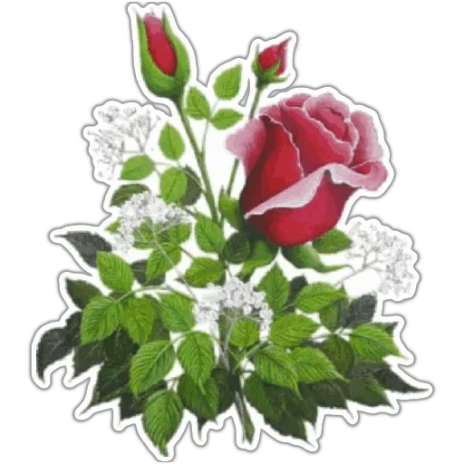 розы, красивые розы, цветы анимация, анимационные цветы, букет цветов открытка