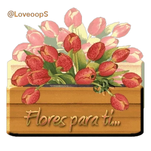 цветы, букет цветов, тюльпаны букет, анимашки цветы, букет цветов тюльпаны