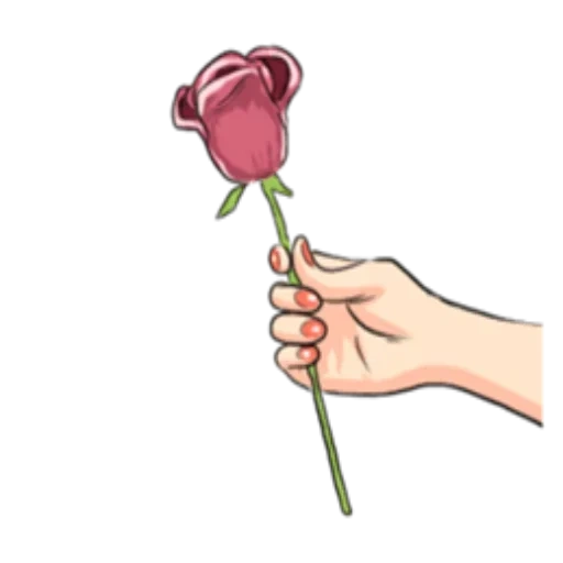 rosa a la mano, la mano sostiene la rosa, vector rosa mano, la mano sostiene la flor, la mano de dibujos animados sostiene una flor