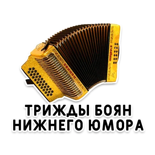 accordion, harmony bayan, bayan accordion, harmony bayan accordion, chordon bayan bandoneon harmonic