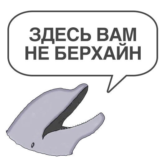 meme, dolphin, evil dolphin, bottlenose dolphin, dolphin klipper