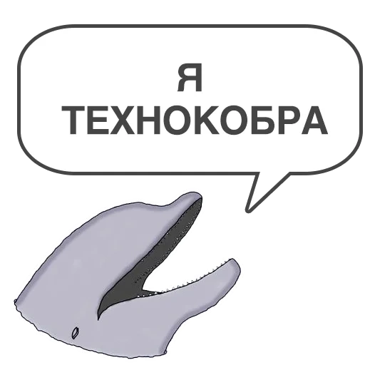 whale, dolphin, white-bottomed whale, bottlenose dolphin, dolphin klipper