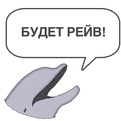 whale, meme, dolphin, bottlenose dolphin, dolphin klipper