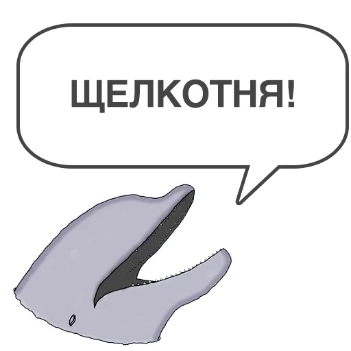whale, text, dolphin, dolphin whale, dolphin klipper