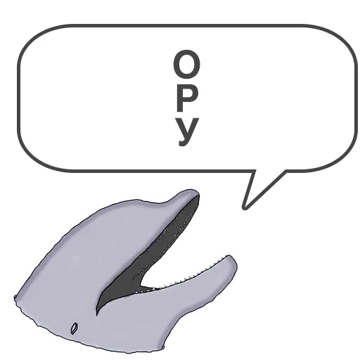 whale, text, dolphin, dolphin pattern, dolphin klipper
