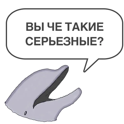 whale, whale, text, mission, dolphin klipper