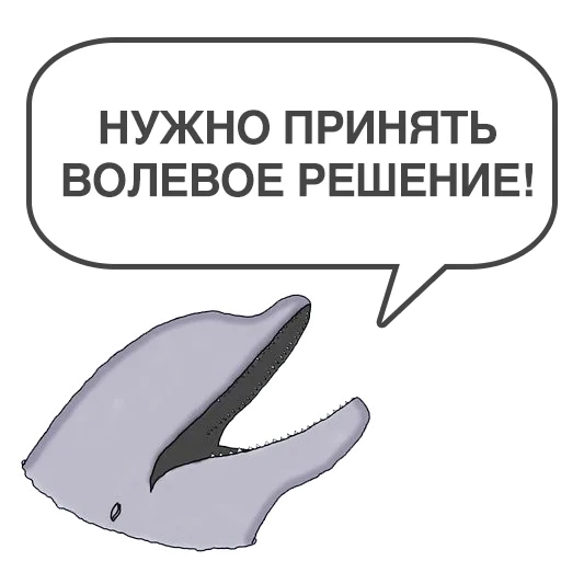 uma tarefa, baleias de golfinhos, contra os golfinários, fatos muito interessantes, proposta de delphin