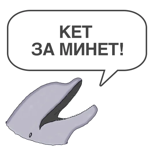 кит, мемы, дельфинчик, смешные рифмы, дельфин клипарт