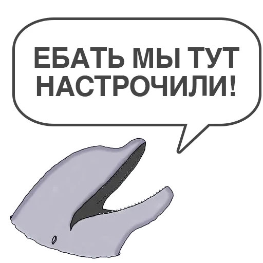 whale, whale, meme, evil dolphin, white-bottomed whale