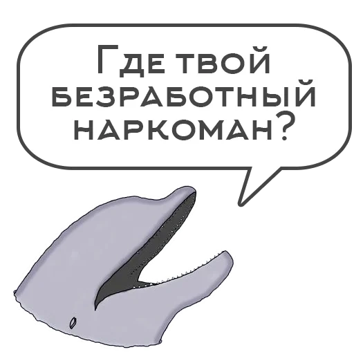 киты дельфины, дельфин прикол, so long and thanks for all the fish