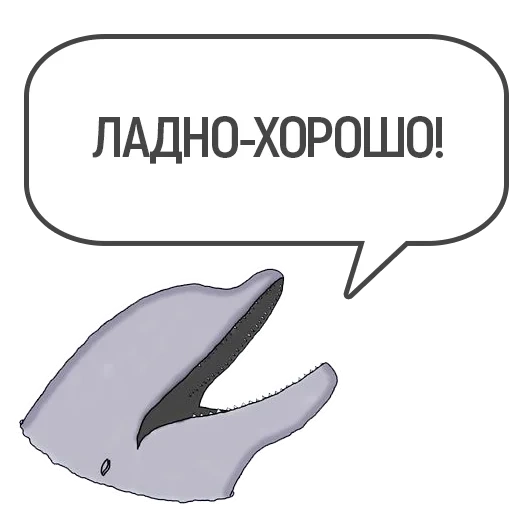 mission, dolphin, dolphin, whales and dolphins, dolphin klipper