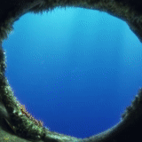 the dark, disney luca, aquarell blumen, der grund des marianengrabens, jacques yves cousteau große höhle blau